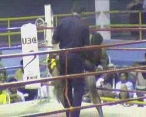1 round muay thai