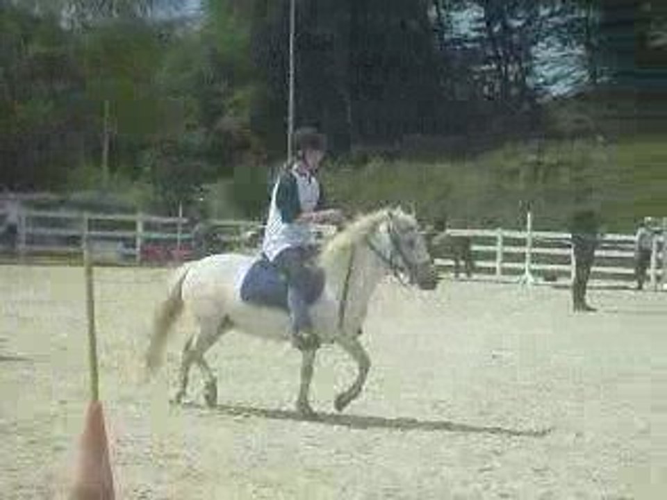 Facteur le 29 juin 2008 pony games