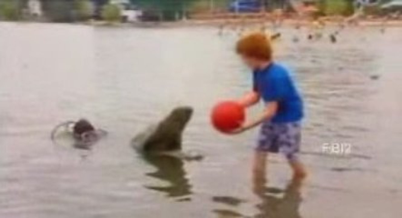 Nageurs vs crocodile