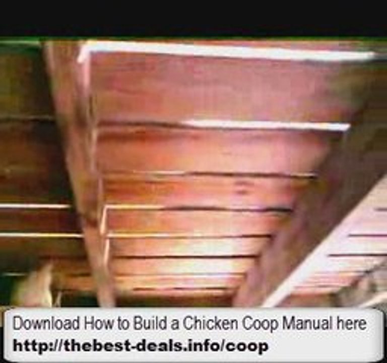 Chicken Coop Kits - Building a Chicken Coop
