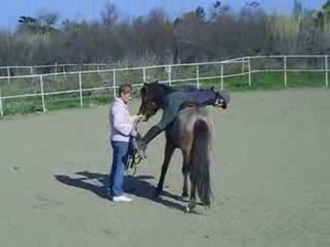 débourage de Sépage