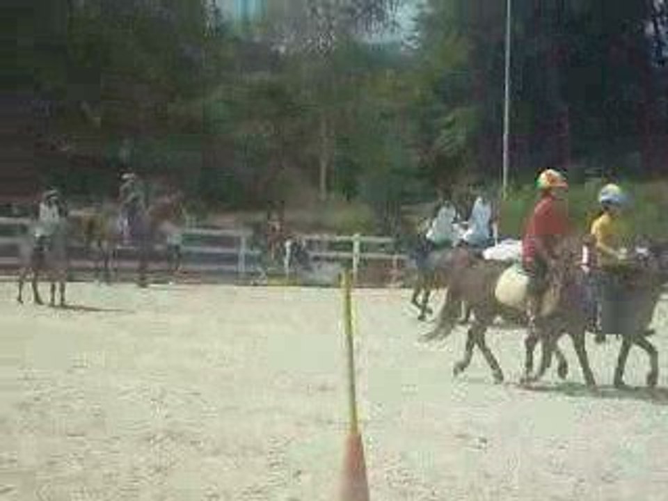 Corde le 29 juin 2008 final régional pony games