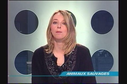 Journal TLT du jeudi 26 mars 2009