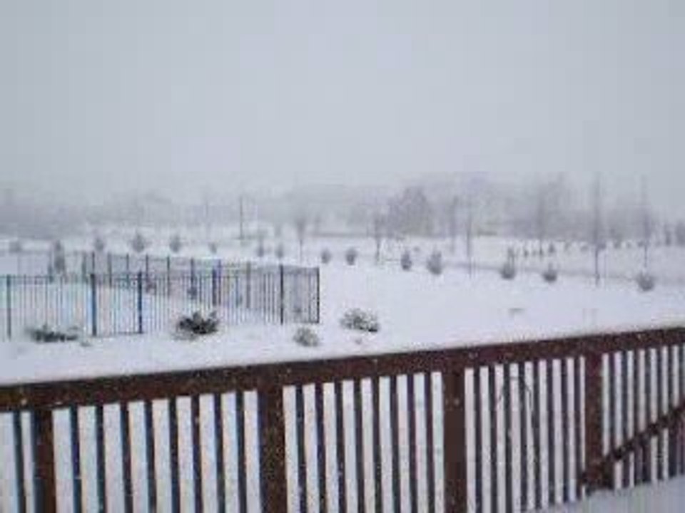 NJ2009