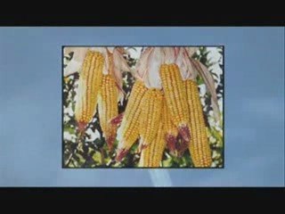 CHEMTRAILS - Sudsteelo + Menphis75 - ( BRANO INEDITO)