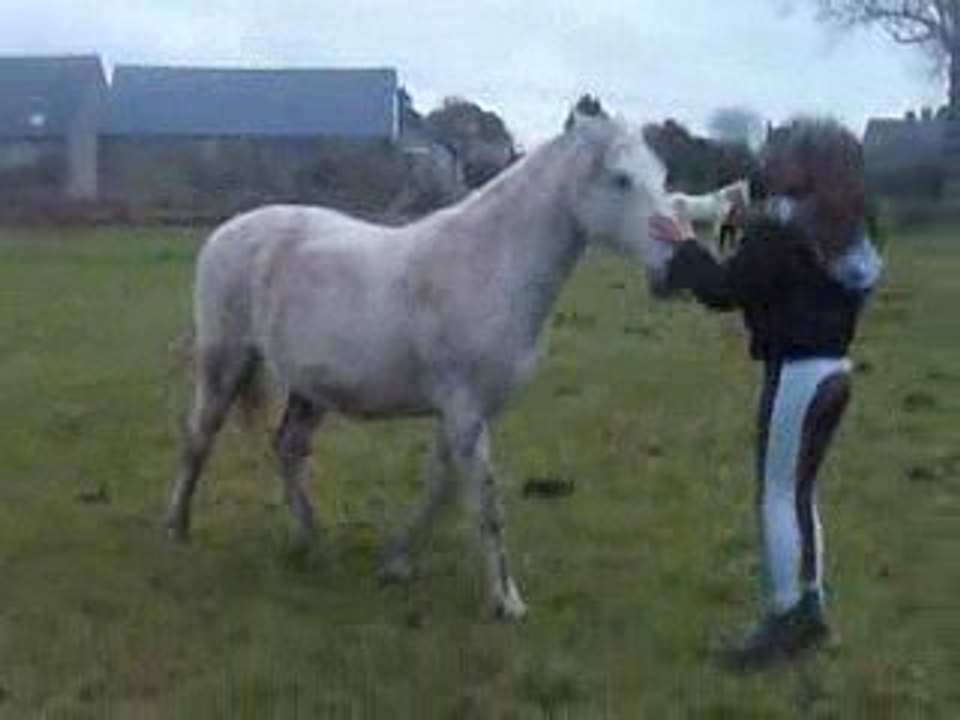 premier cabrés au sol