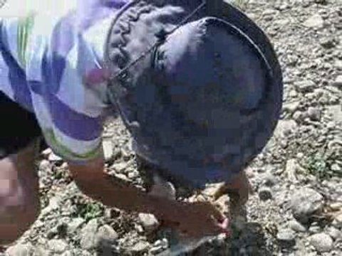 ANTİ STRES BALIKCILIK KULÜBÜ