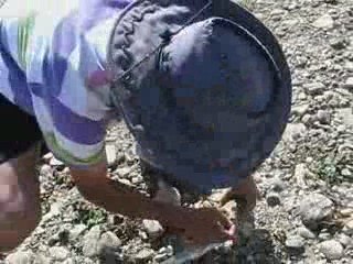 ANTİ STRES BALIKCILIK KULÜBÜ