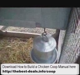 Chicken Farming - Building Your Own Chicken Coop
