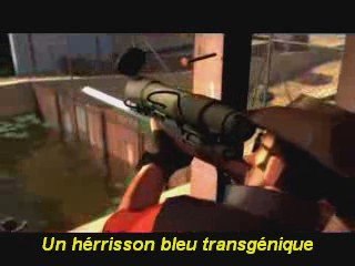 Presentation des admins de la TPW