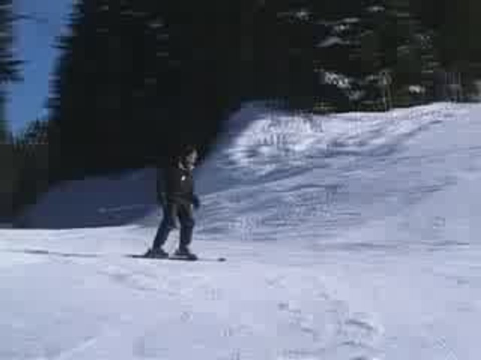 Ski and Snow