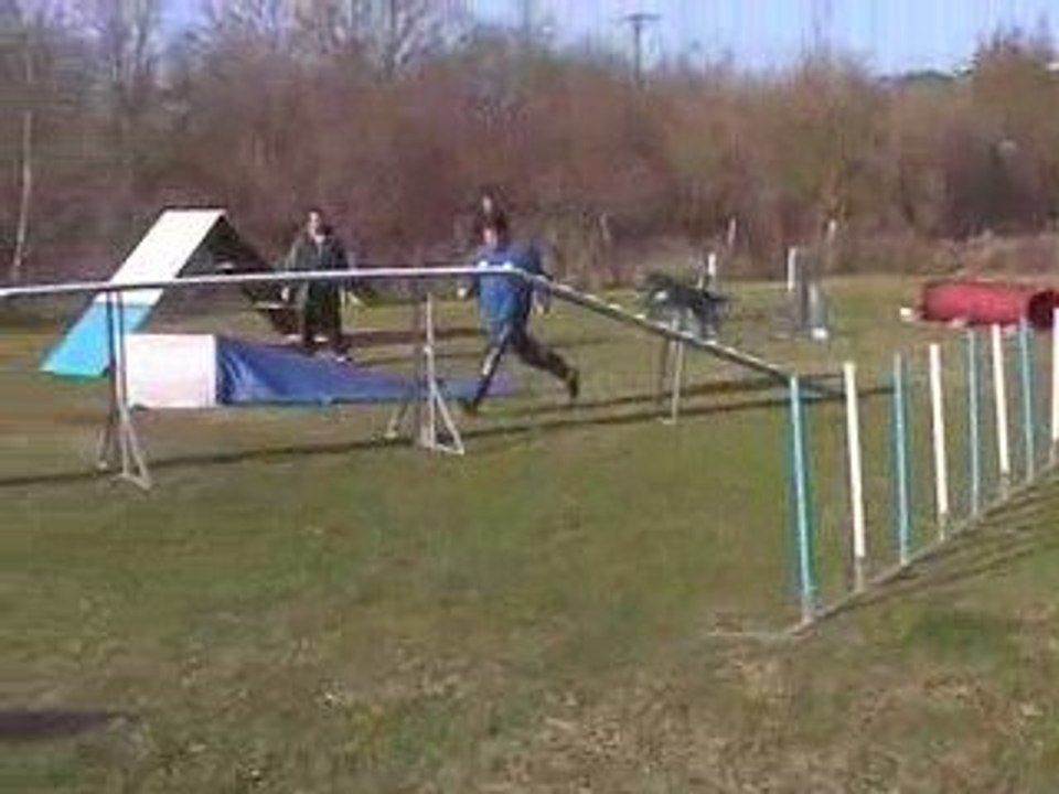 Blueberry Open Agility Millery 22/03/2009