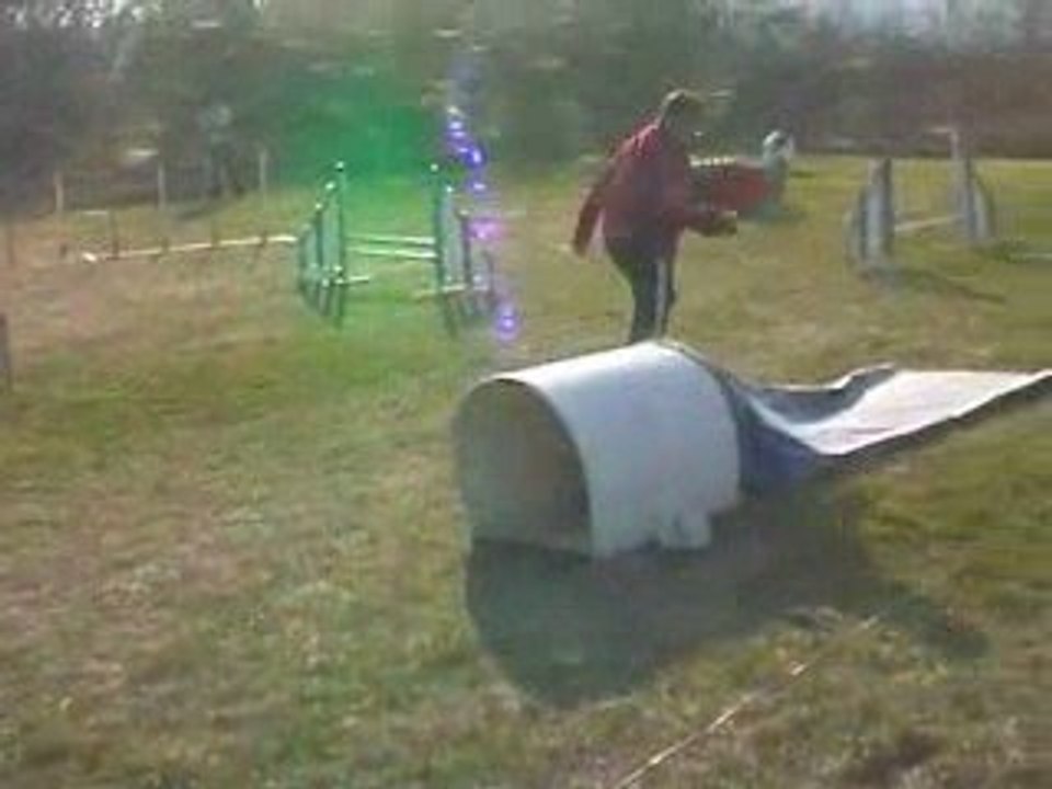 Blueberry Jumping Agility Millery 22/03/2009