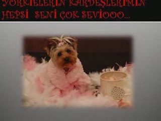 Happy Birthday Selmin :) By Mio Amore Royal York