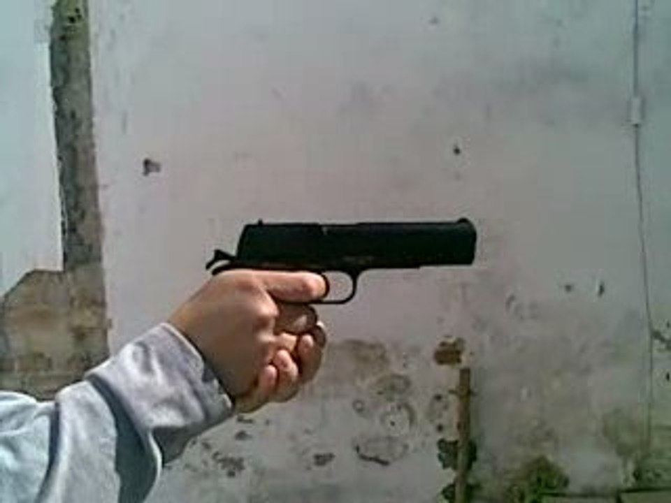 Colt 19112