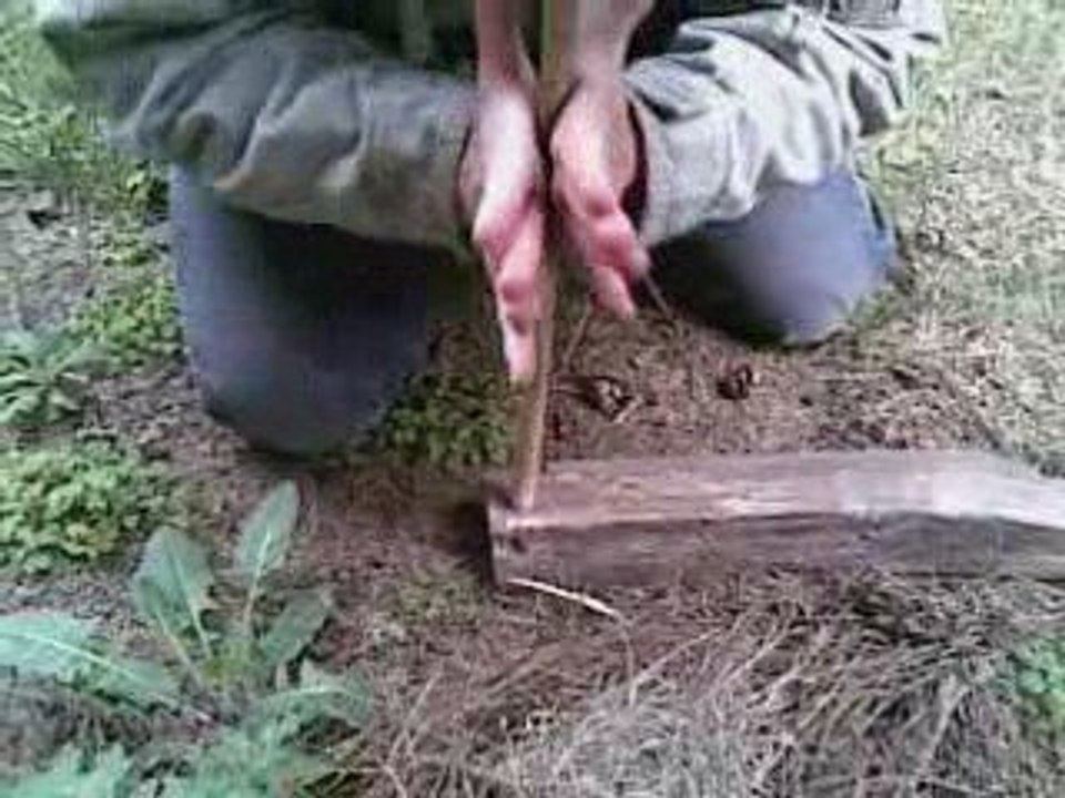 Survivorman Baillargues