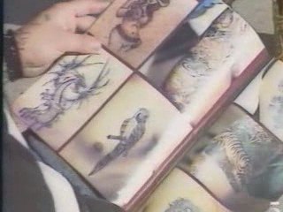 Bikers Harley Melrose