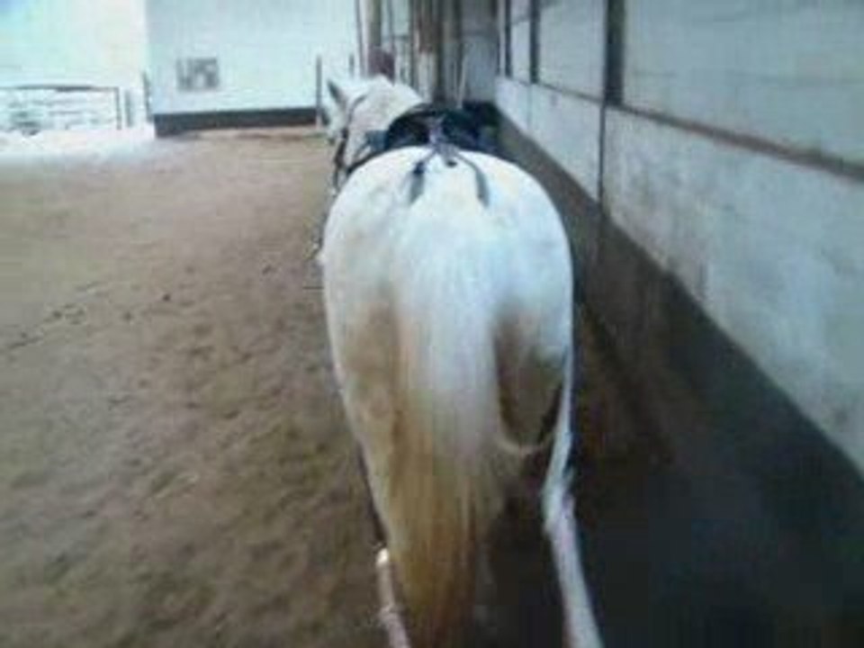 Nalha Attelage Partie 1