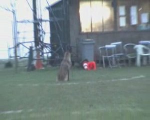 CSAU CLARA MONTBAVIN 07-02-09