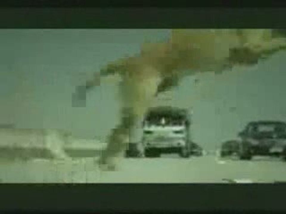 Köpeğin İntikamı