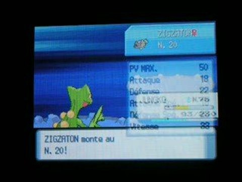 Zigzaton shiney évolue en Lineon shiney