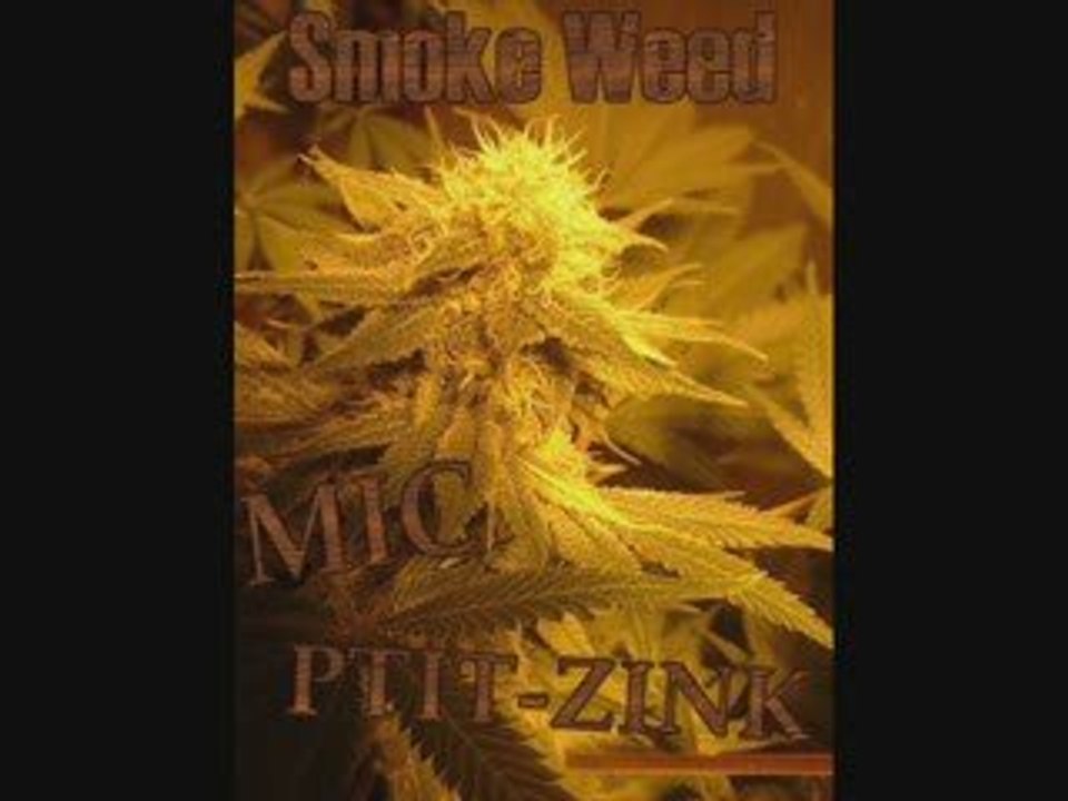 Mic pit zink