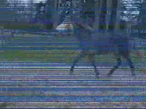 Mercredi 11 Mars 2009 bis