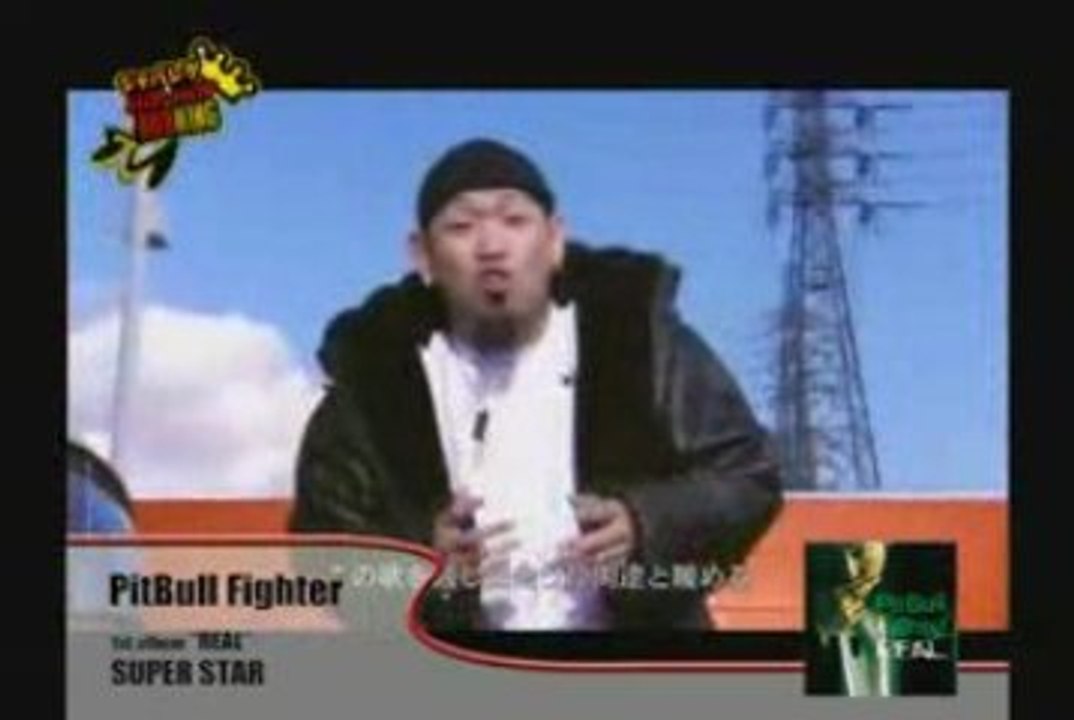 PitBull Fighter - Super Star