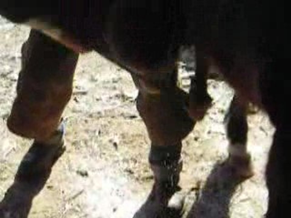 on taille les sabots de baby