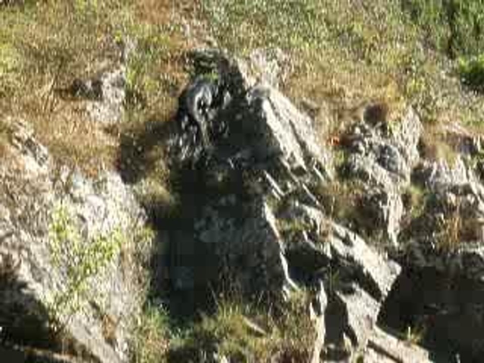 DSCF2494