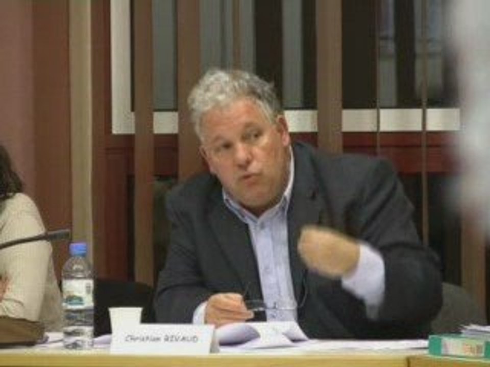 33. Aménagement et urbanisation du secteur de la Pépinière