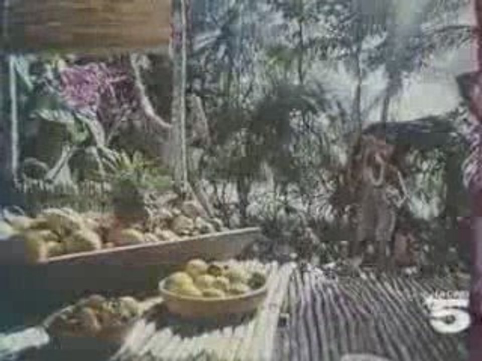 Pub Laden micro-onde 1986