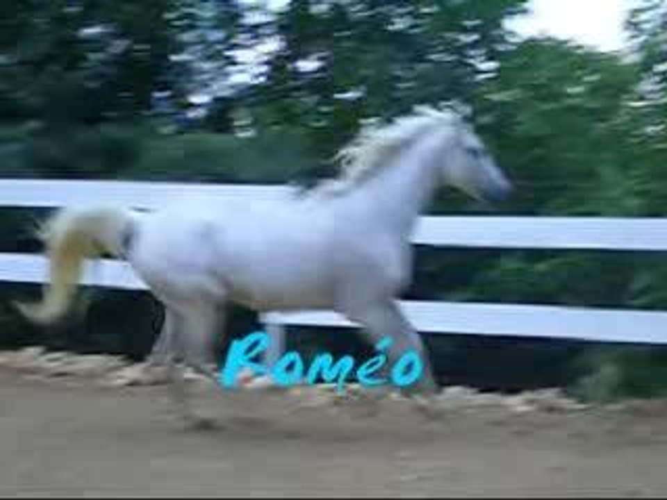Jet & Roméo