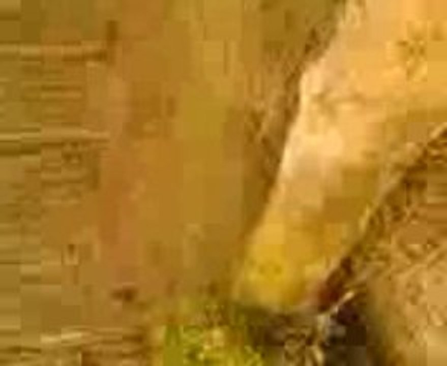 Vidéo2