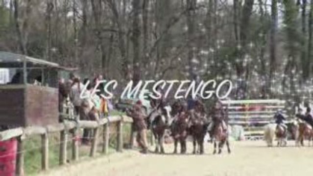 Pony-games le 8 mars au st eynard : les mestengo