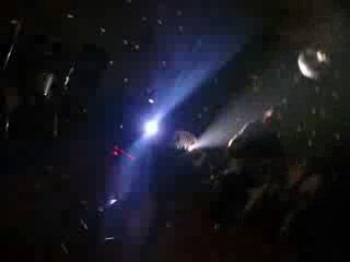 Concierto De AranJueZ