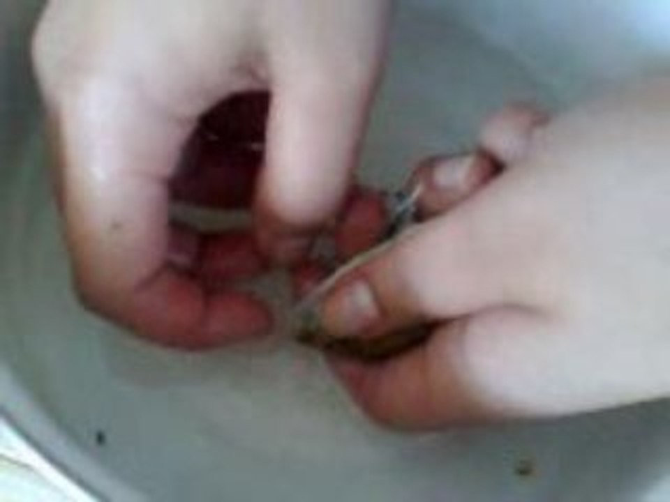 Sarı Prenses kusturma,Doğum anı,Sarı prenses