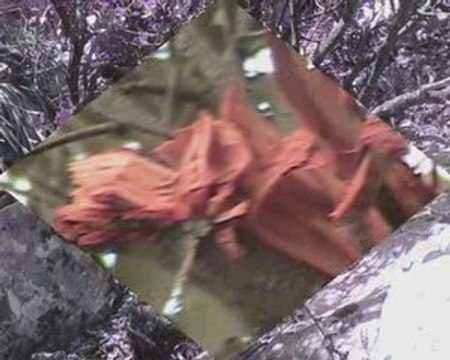 moulay bouazza nature