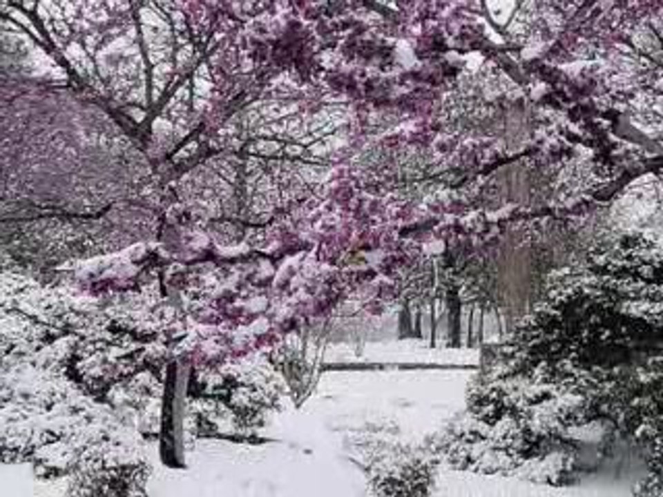 Spring snow