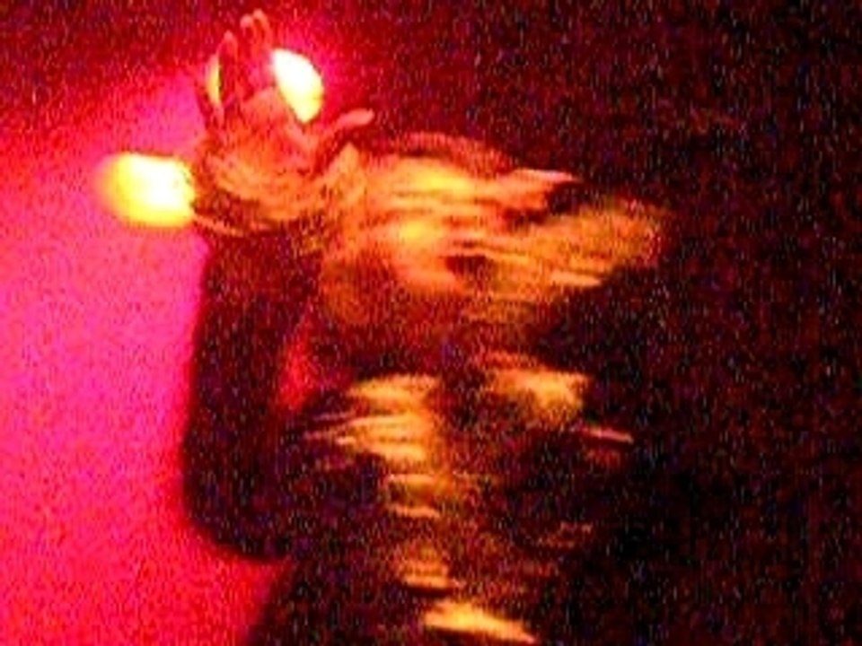 AN CAFE [antic cafe] concert 25/03/09