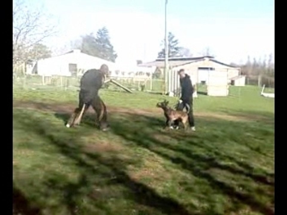Dressage avec jean-baptiste