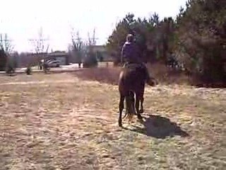 Video karine nadia debbra bourasse 28 mars 09