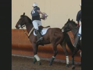 Quentin & isar a saumur