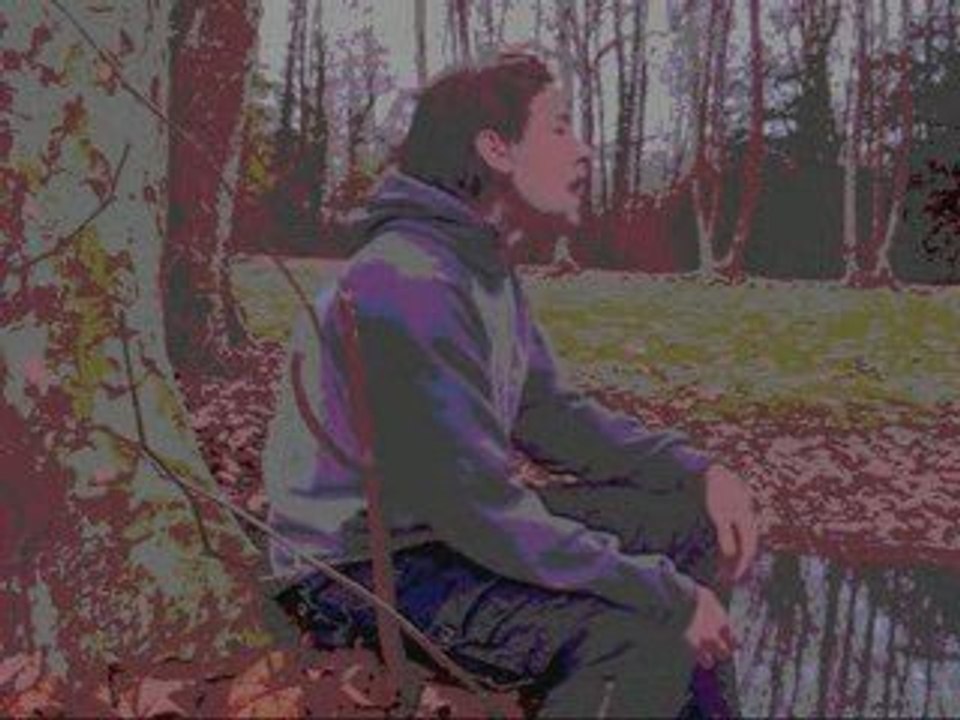 In   the  end  remix