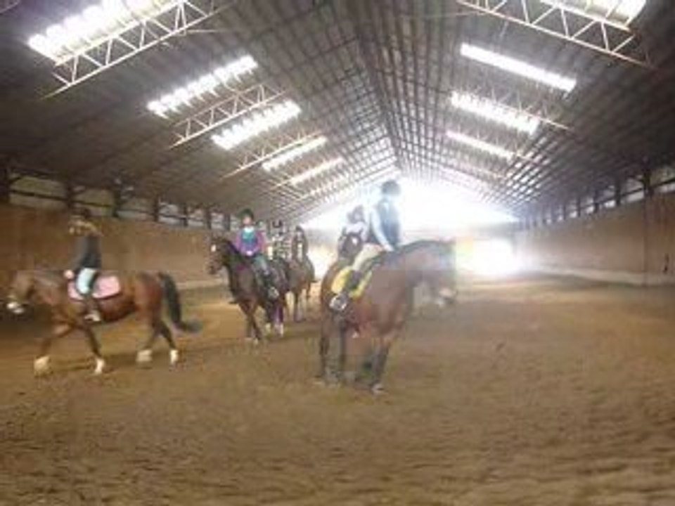 À l'écurie!!! 098  mayyydayyy