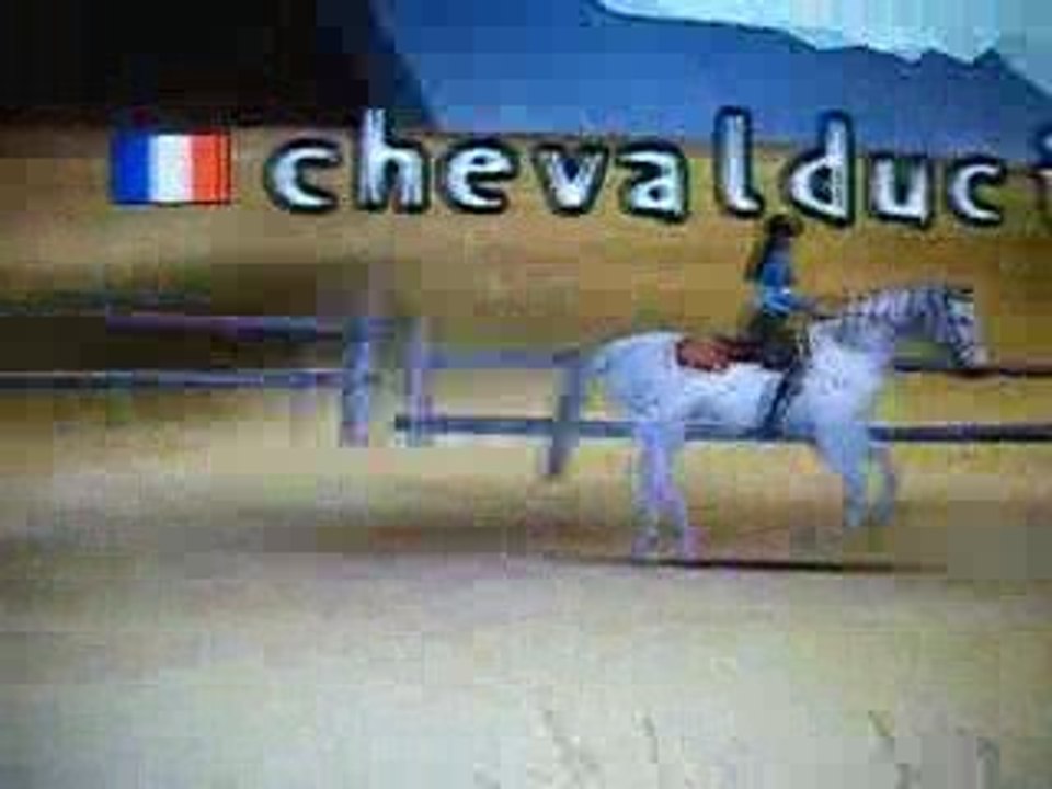 Mission équitation online  Eclair