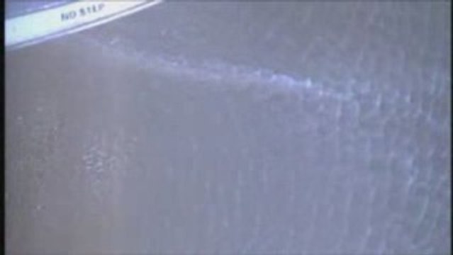 Coast Guard Rescues Plane Crash Victims