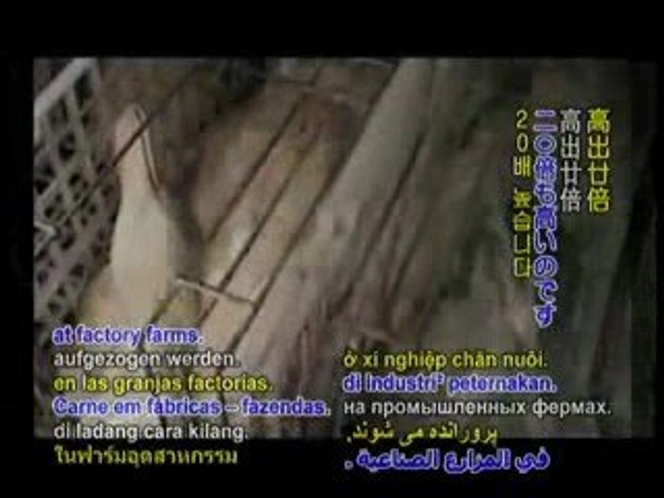 froie gras cruelty 5