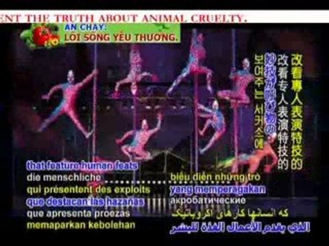 cruelty behind the circus 5
