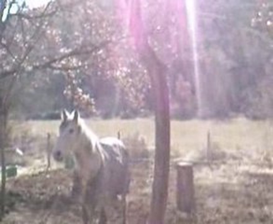 Mon amour & mon doudou a la maison <33